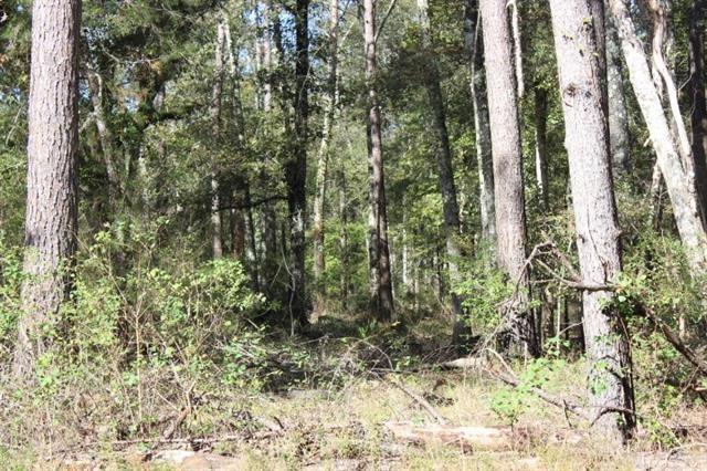 0 Happywoods Road Springfield, LA 70462 - Photo 14 of 19
