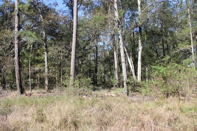 0 Happywoods Road Springfield, LA 70462 - Photo 15 of 19