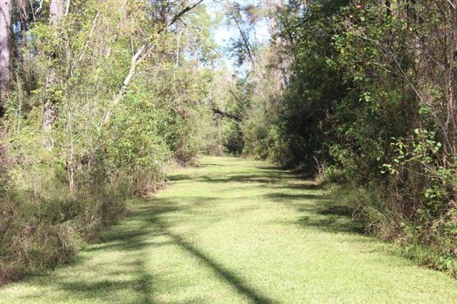 0 Happywoods Road Springfield, LA 70462 - Photo 16 of 19