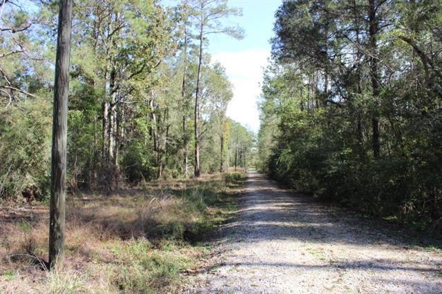 0 Happywoods Road Springfield, LA 70462 - Photo 3 of 19