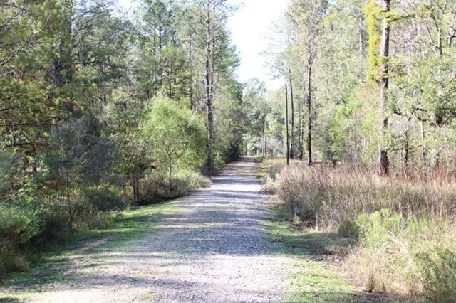 0 Happywoods Road Springfield, LA 70462 - Photo 4 of 19