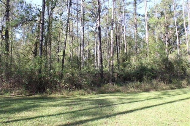 0 Happywoods Road Springfield, LA 70462 - Photo 5 of 19