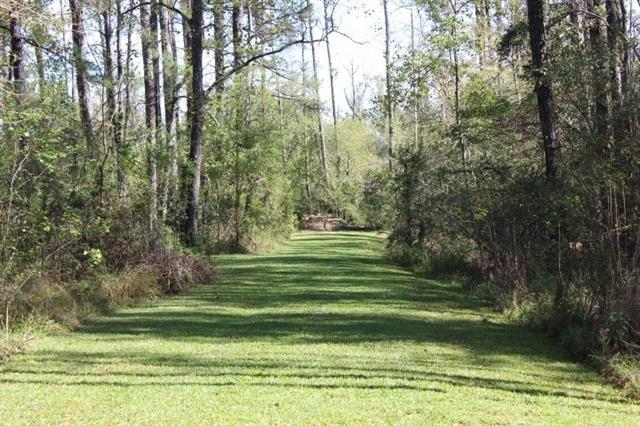 0 Happywoods Road Springfield, LA 70462 - Photo 6 of 19