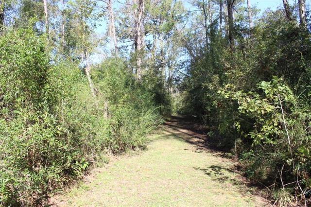 0 Happywoods Road Springfield, LA 70462 - Photo 7 of 19