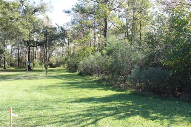 0 Happywoods Road Springfield, LA 70462 - Photo 8 of 19