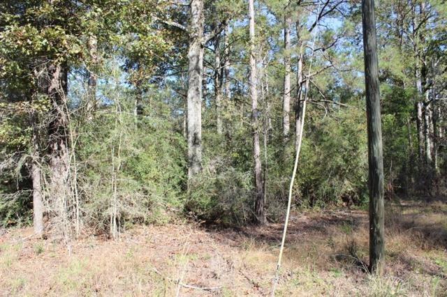 0 Happywoods Road Springfield, LA 70462 - Photo 9 of 19