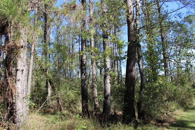 0 Happywoods Road Springfield, LA 70462 - Photo 10 of 19