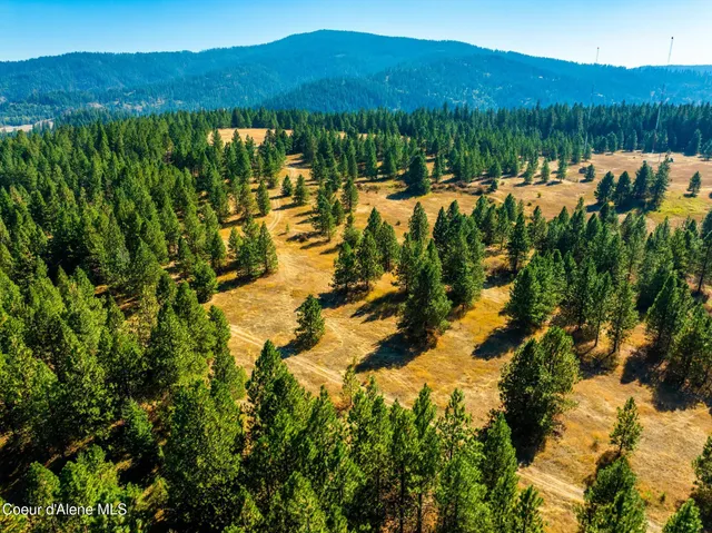 $17,000,000 | 5727 South Odelin Lane, Harrison, ID 83833