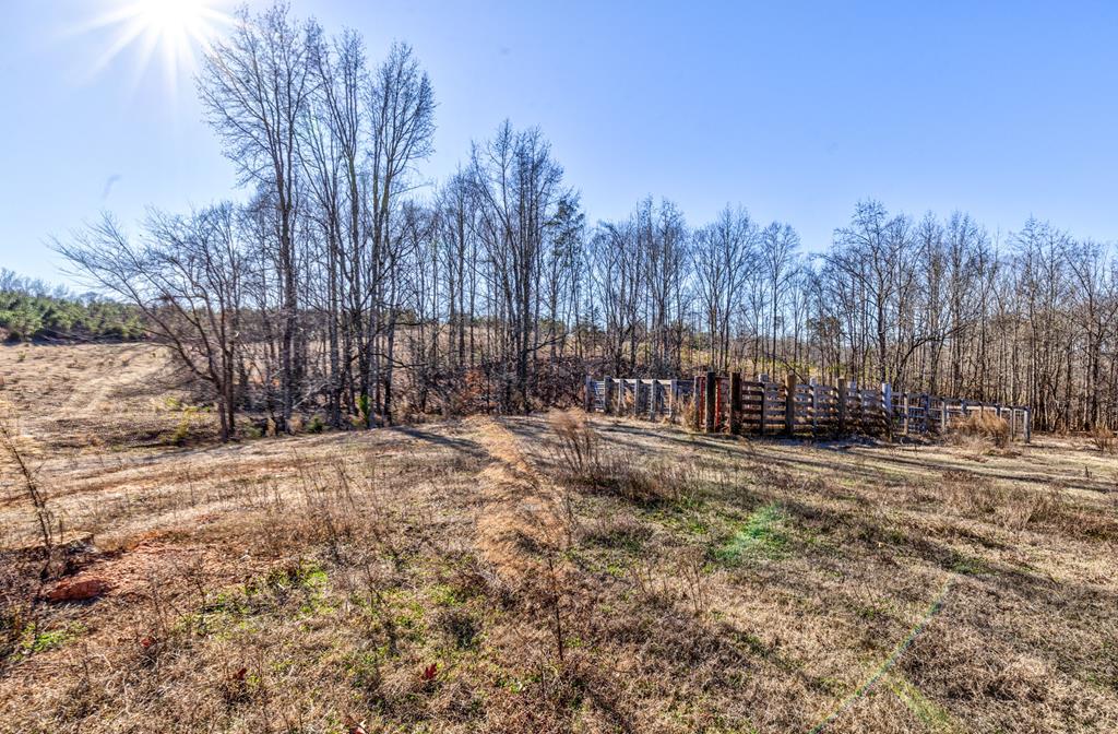 4-0 Chestnut Grove Road Shiloh, GA 31826 - Photo 26 of 35 Gallery Image 26
