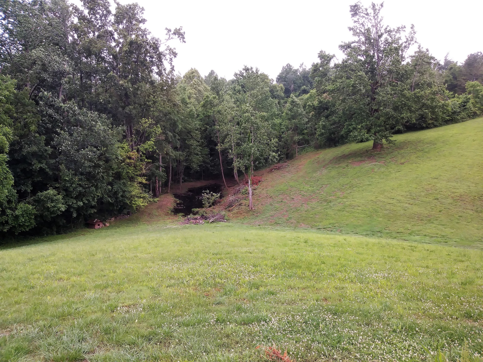 258 Union Ridge Road Wartrace, TN 37183 - Photo 22 of 25 a view of a garden with a bench