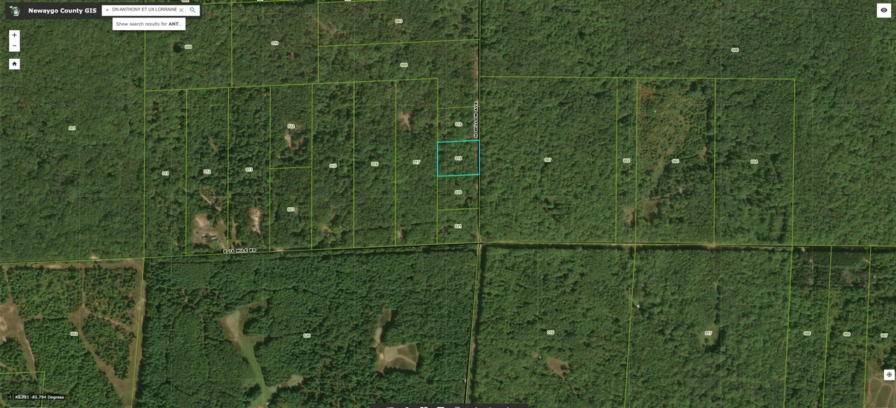 V/l Willow Road Bitely, MI 49309 - Photo 3 of 3