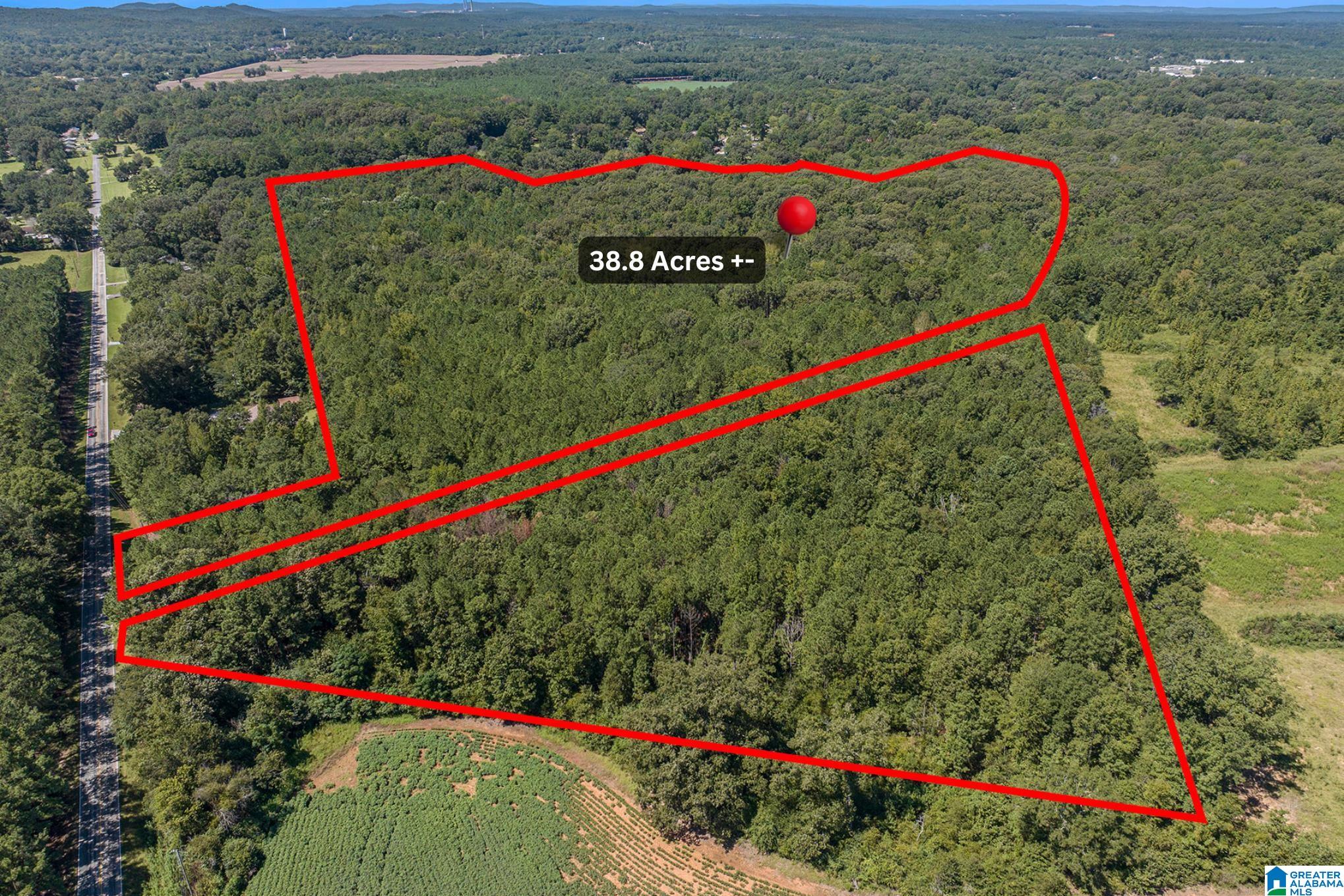 10614 Grist Mill Road, Unit 1 Childersburg, AL 35044 - Photo 2 of 9