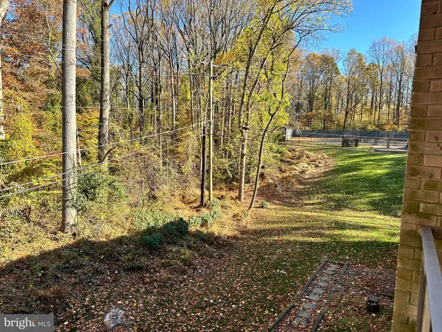 a view of beach and with trees