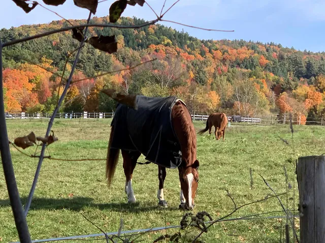 $675,000 | 485 Browns Trace, Jericho, VT 05465