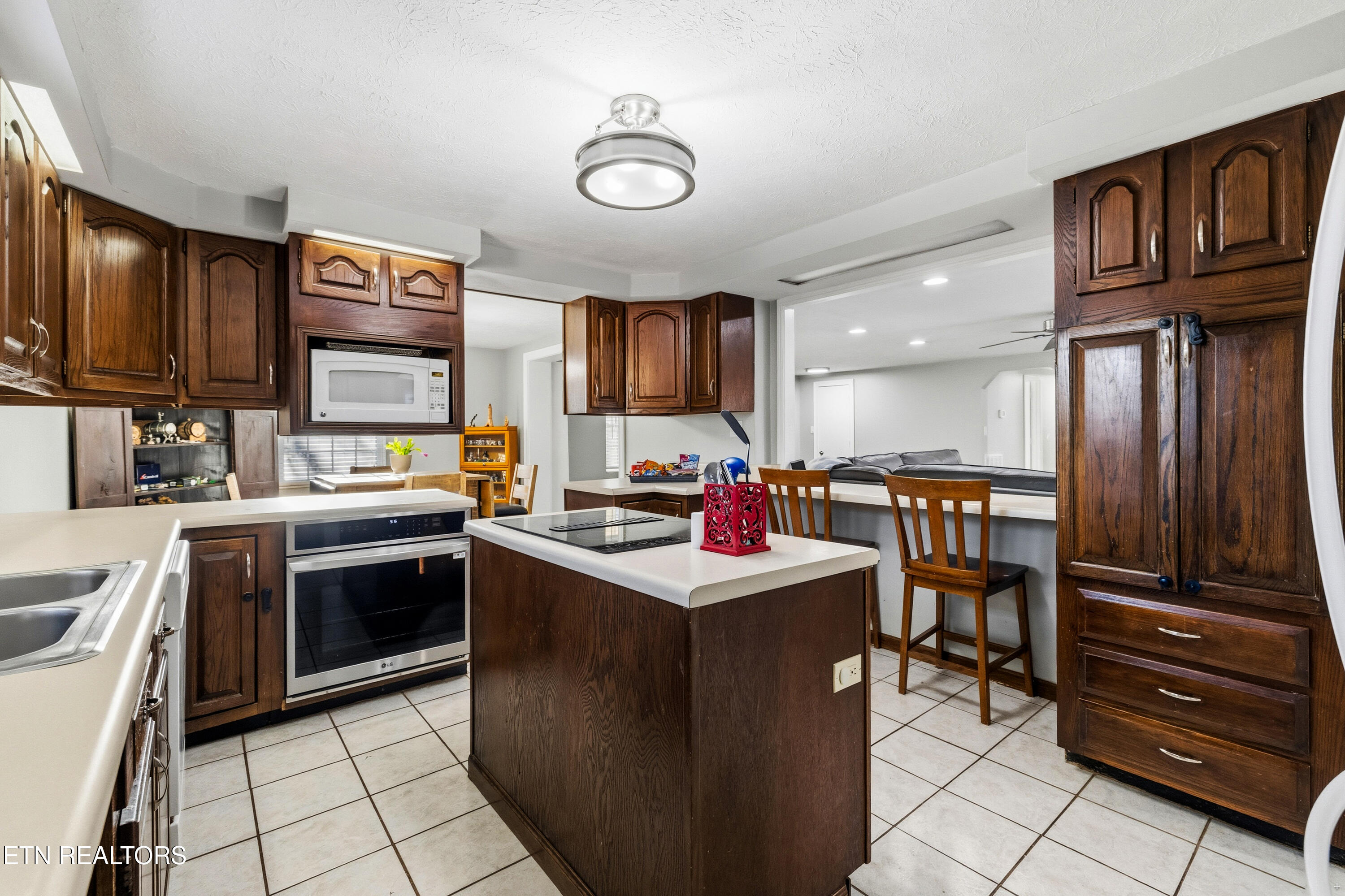 1088 East Wolf Valley Road Heiskell, TN 37754 - Photo 5 of 29 Positive Perceptions-7