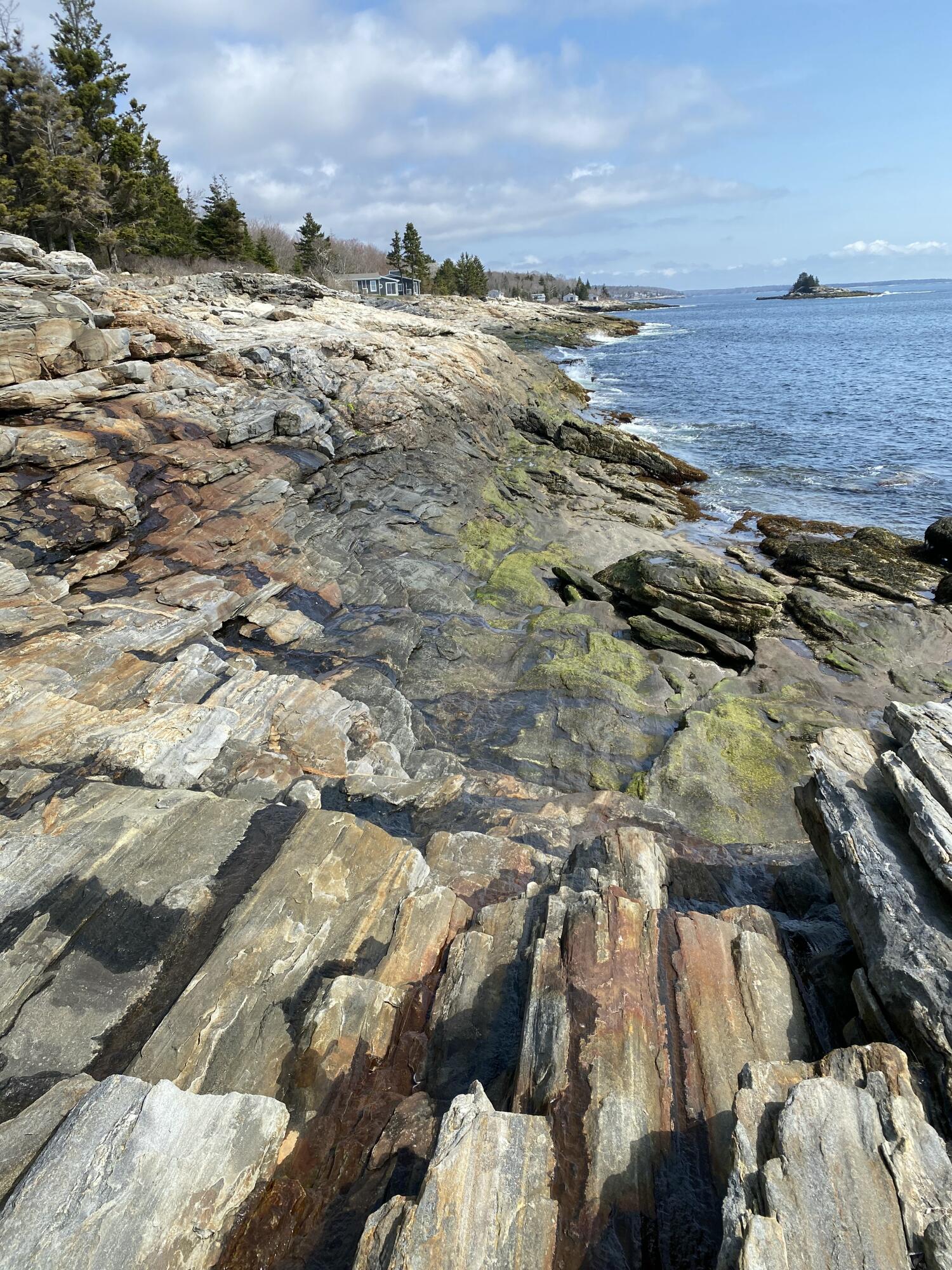 42 Old Mill Road New Harbor, ME 04554 - Photo 61 of 65 Nearby Shore