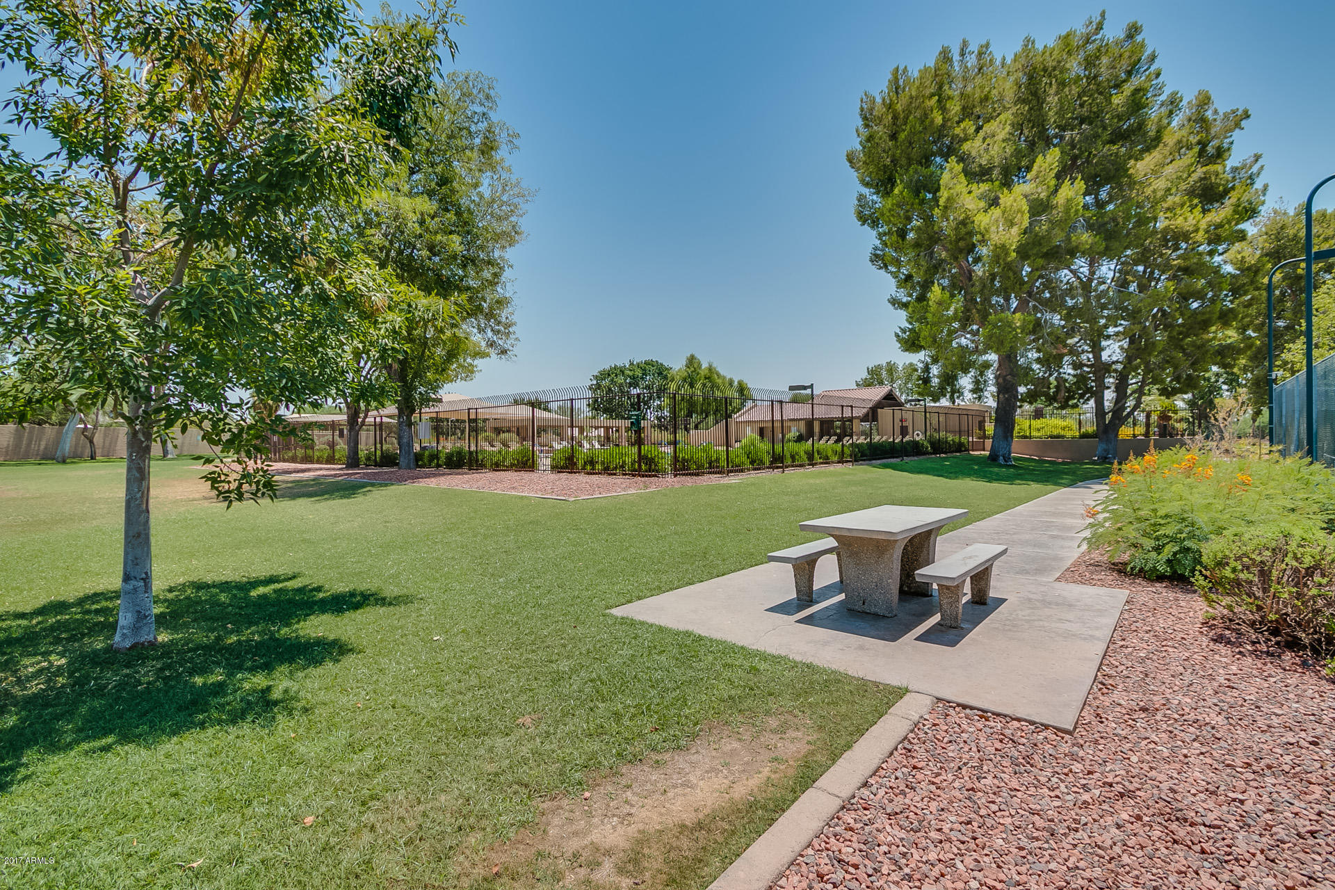 3623 East Agave Road Phoenix, AZ 85044 - Photo 38 of 41 a view of a park with large trees