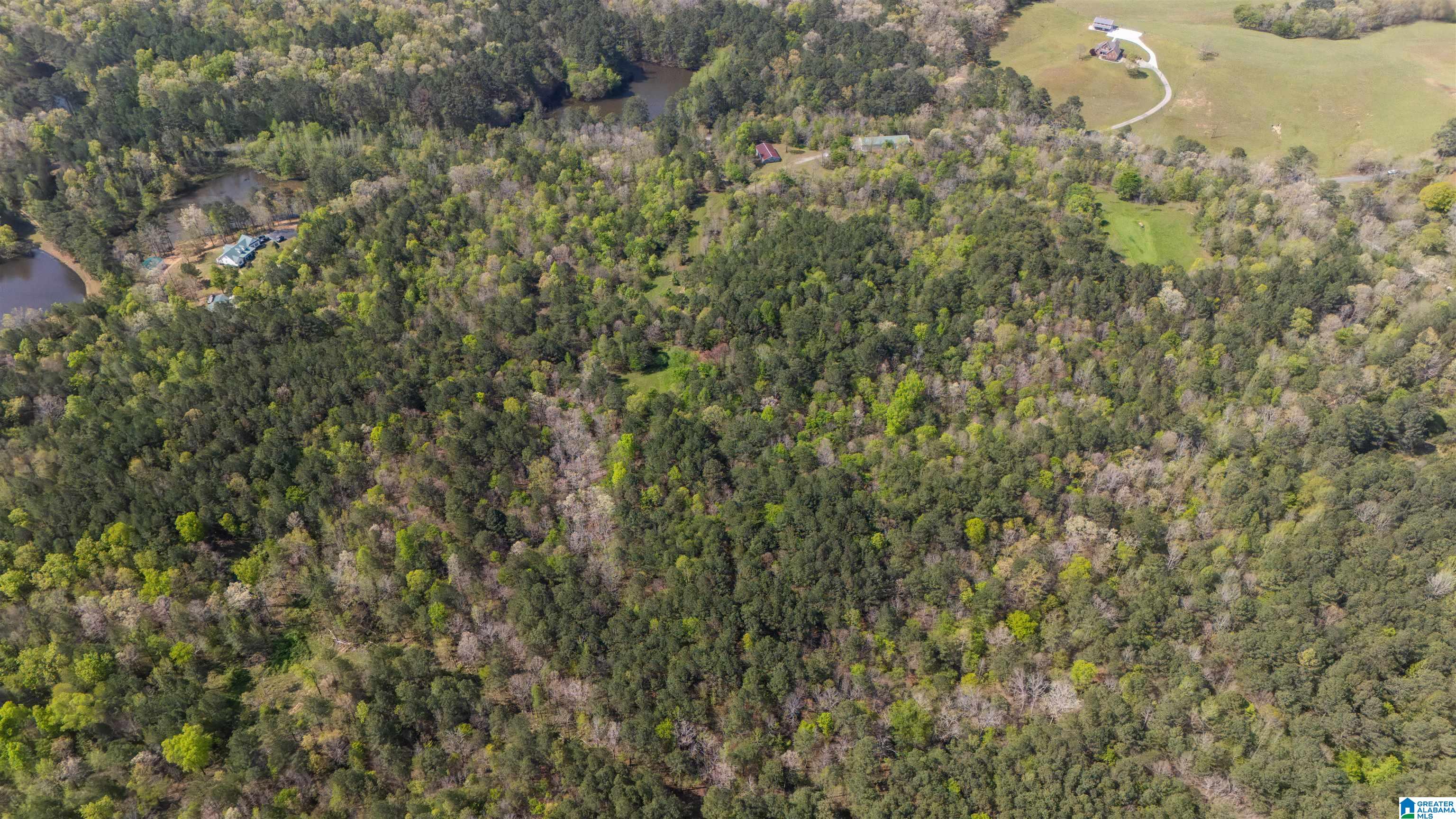 2121 Center Hill Road Trafford, AL 35172 - Photo 42 of 100