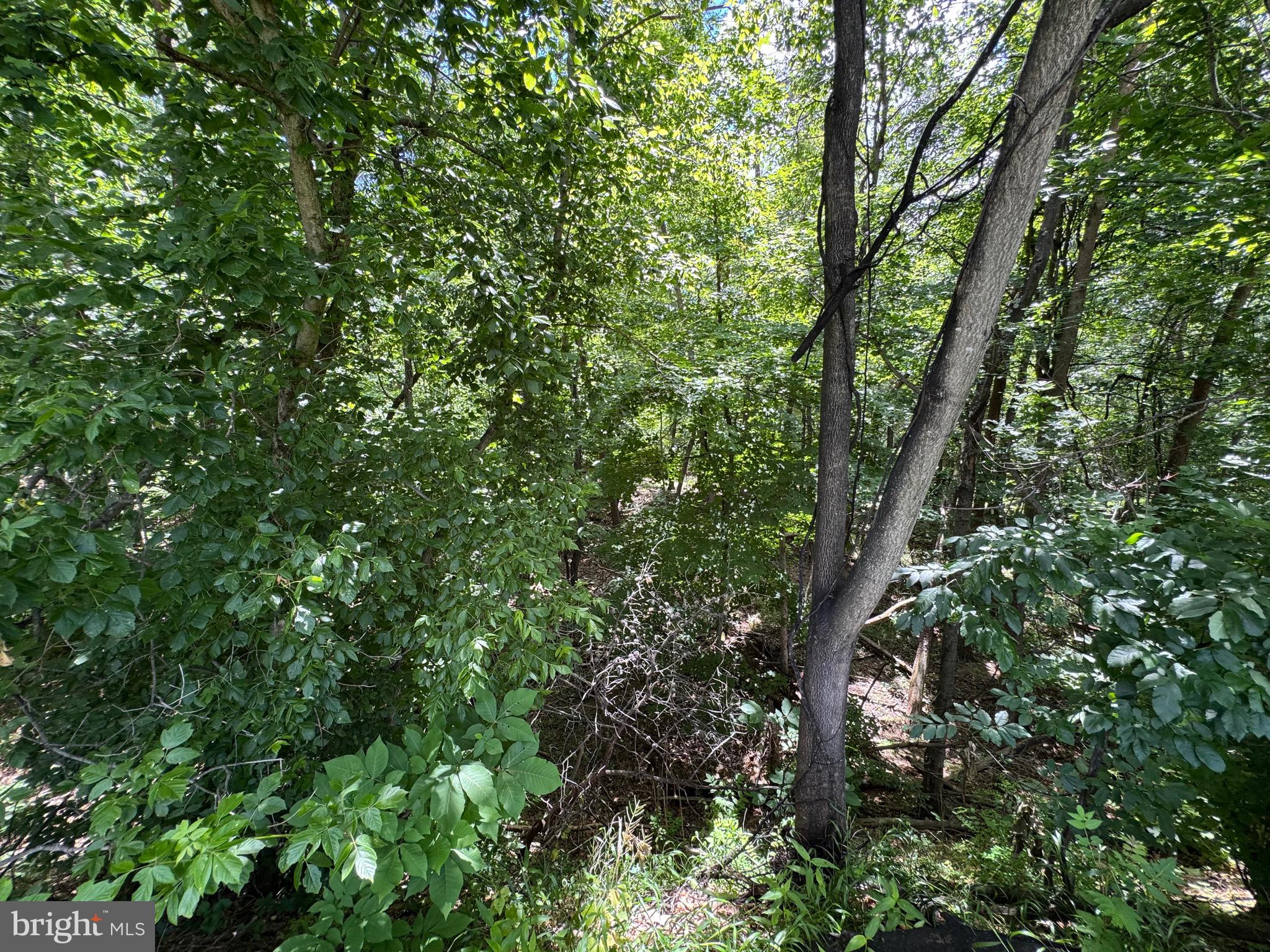 Sand Mine Road, Unit 9 Berkeley Springs, WV 25411 - Photo 10 of 17