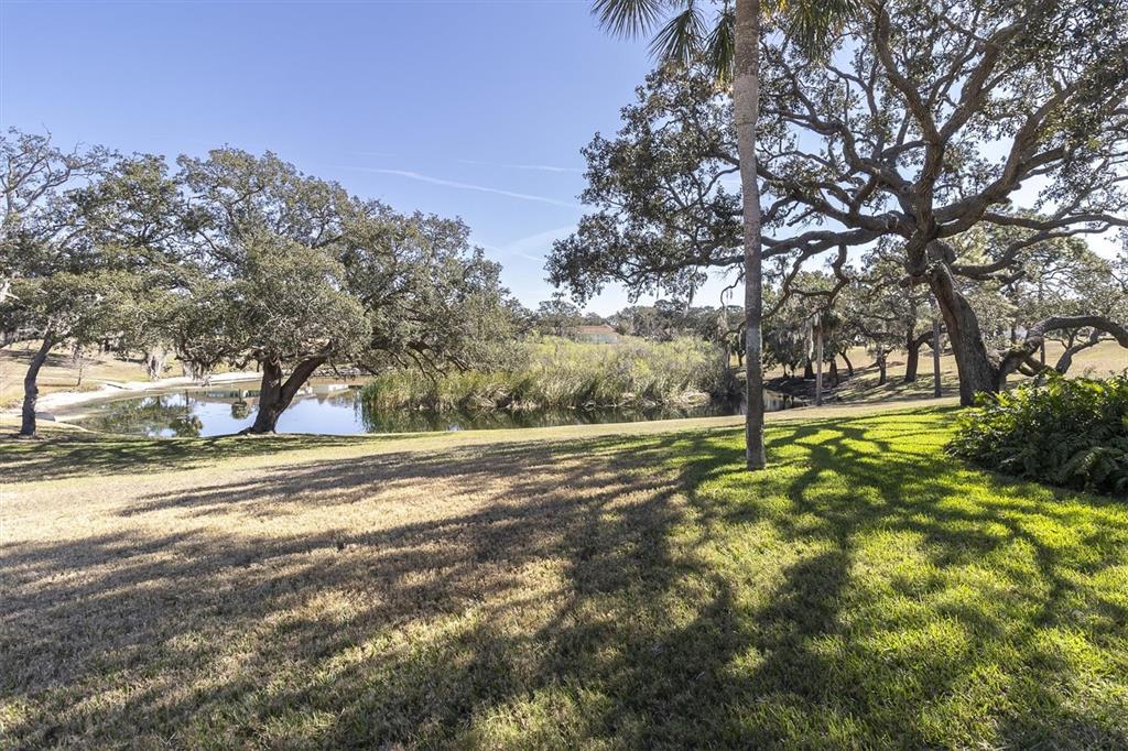 11410 Carriage Hill Drive, Unit 1 Port Richey, FL 34668 - Photo 24 of 63 a view of a yard with trees