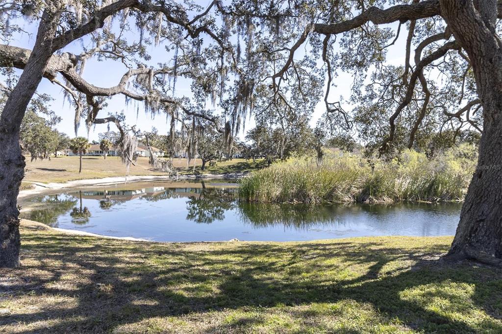 11410 Carriage Hill Drive, Unit 1 Port Richey, FL 34668 - Photo 27 of 63