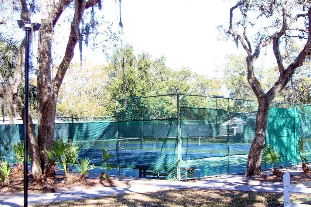 11410 Carriage Hill Drive, Unit 1 Port Richey, FL 34668 - Photo 47 of 63 a view of a backyard