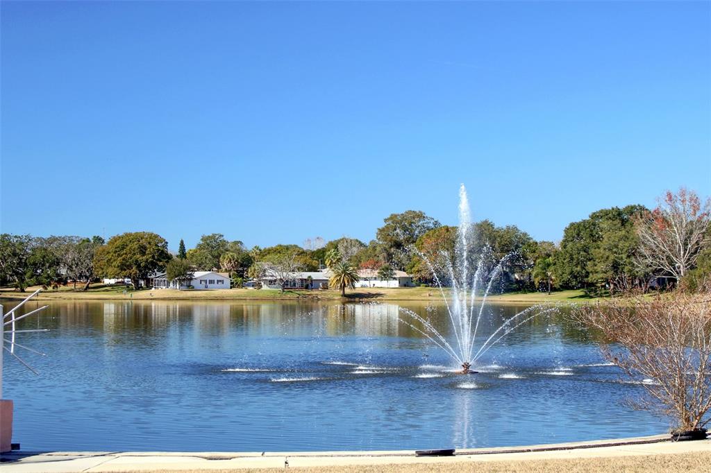 11410 Carriage Hill Drive, Unit 1 Port Richey, FL 34668 - Photo 48 of 63 a view of a lake with houses