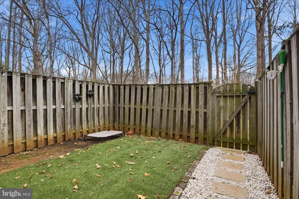 a view of a garden with plants