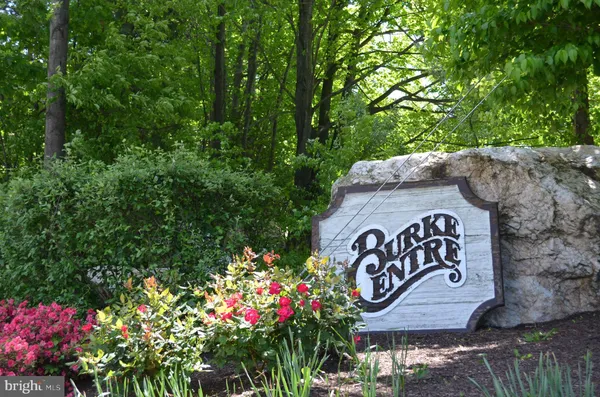 a view of small yard and large trees