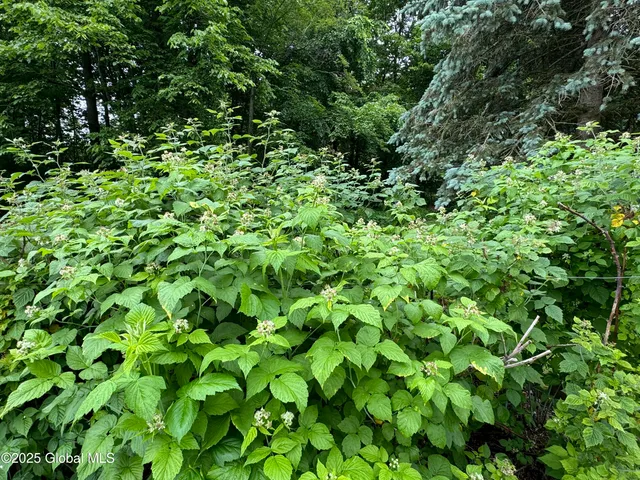 $399,900 | 585 Logtown Road, Glen, NY 12072