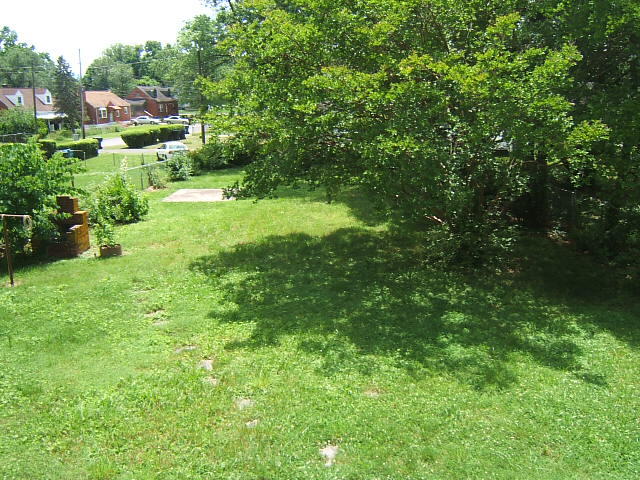 3008 Cove Road Roanoke, VA 24017 - Photo 7 of 18 DSCF9802