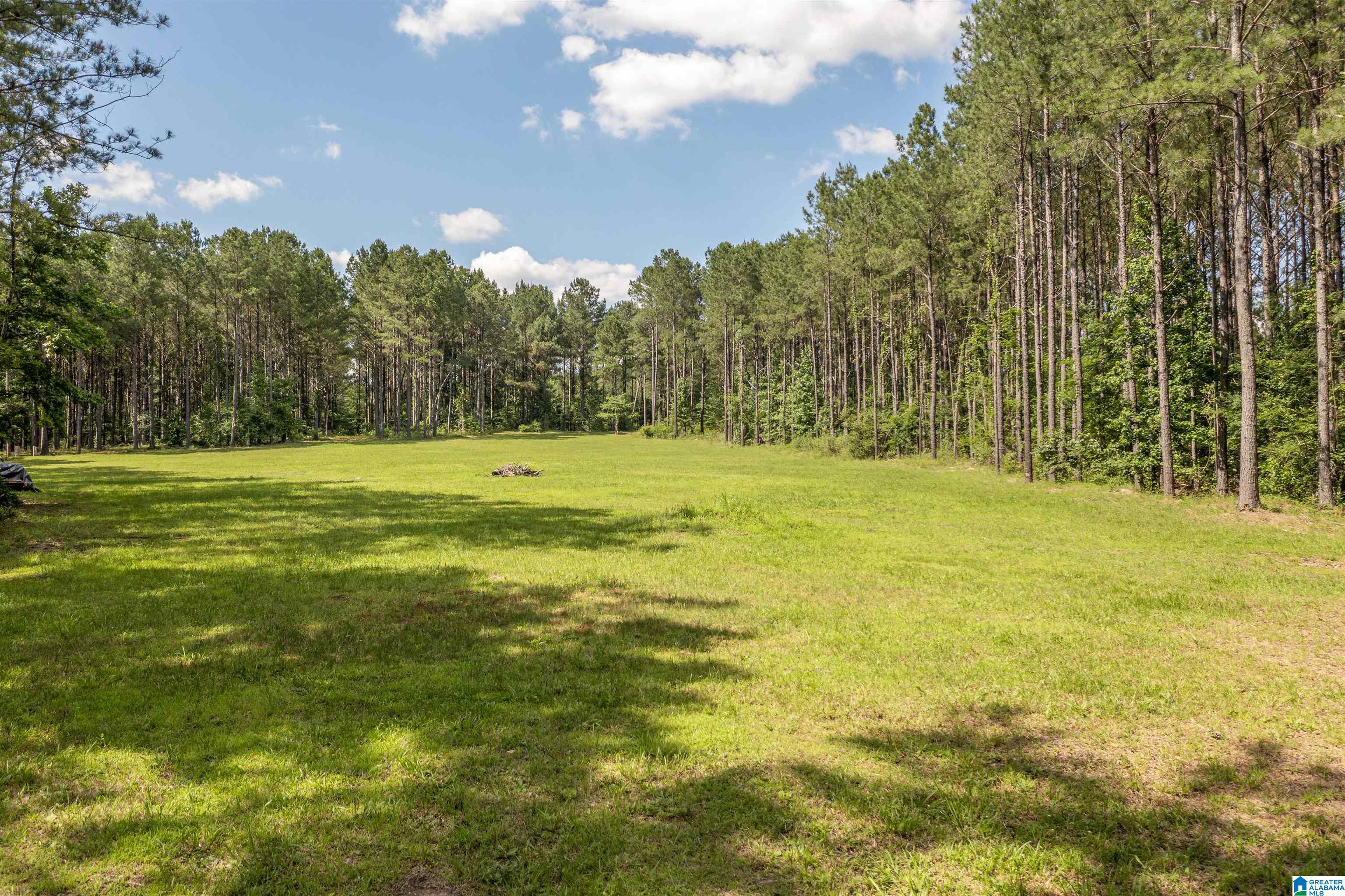 89 Golden Pond Road, Unit 9 Ashville, AL 35953 - Photo 16 of 35