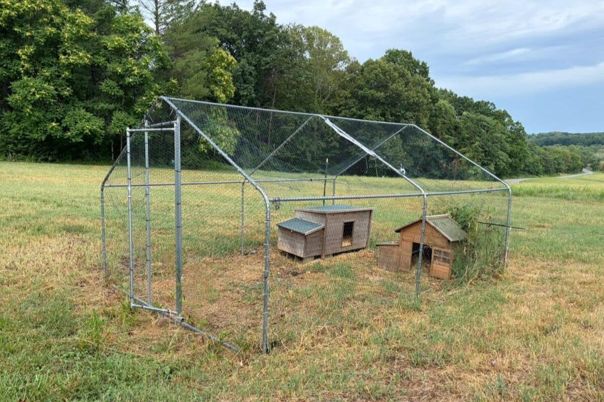 1069 Pecks Road Bedford, VA 24523 - Photo 43 of 47 Chicken Run with 2 Coops