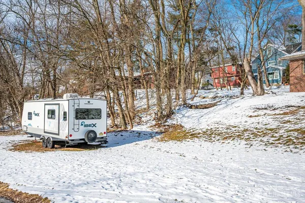 a view of outdoor space yard and tree