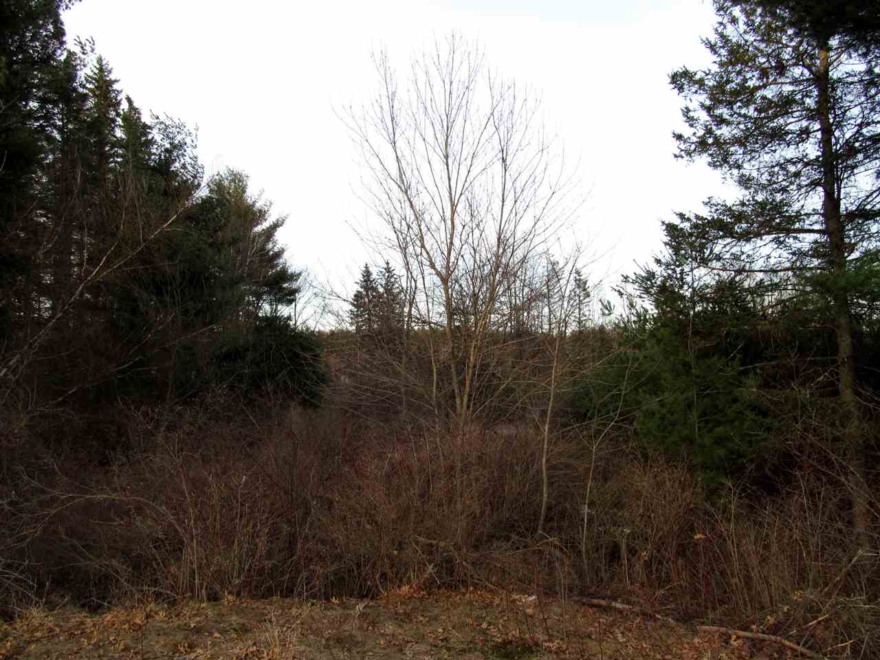 237 River Road Bow, NH 03304 - Photo 3 of 8 Gallery Image 3