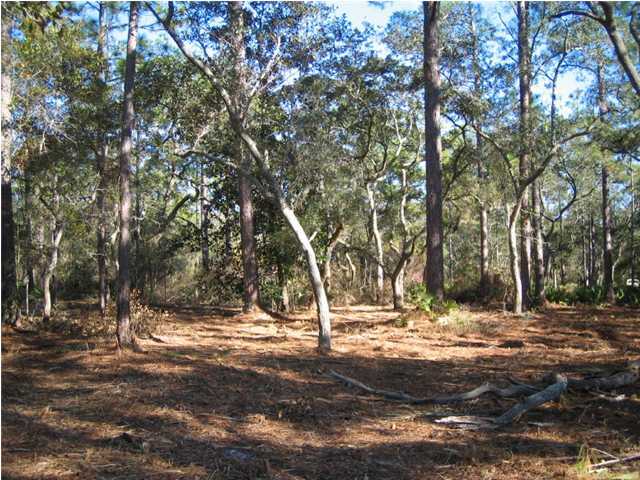 Lot 7 George Ellis Point Road Vernon, FL 32462 - Photo 1 of 3 Primary Photo