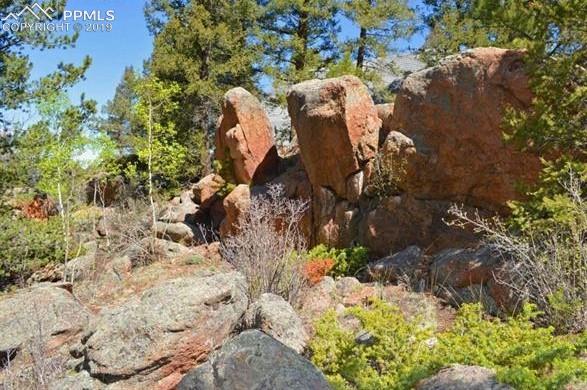 57 Ute Road Florissant, CO 80816 - Photo 15 of 18 South View