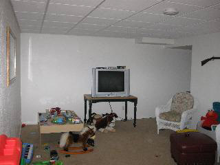 12331 Jackman Road Ida, MI 48140 - Photo 10 of 12 Fin Basement