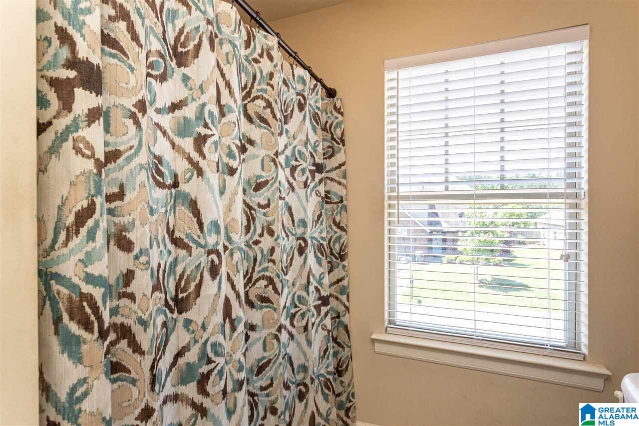 358 Blackberry Boulevard Springville, AL 35146 - Photo 34 of 50