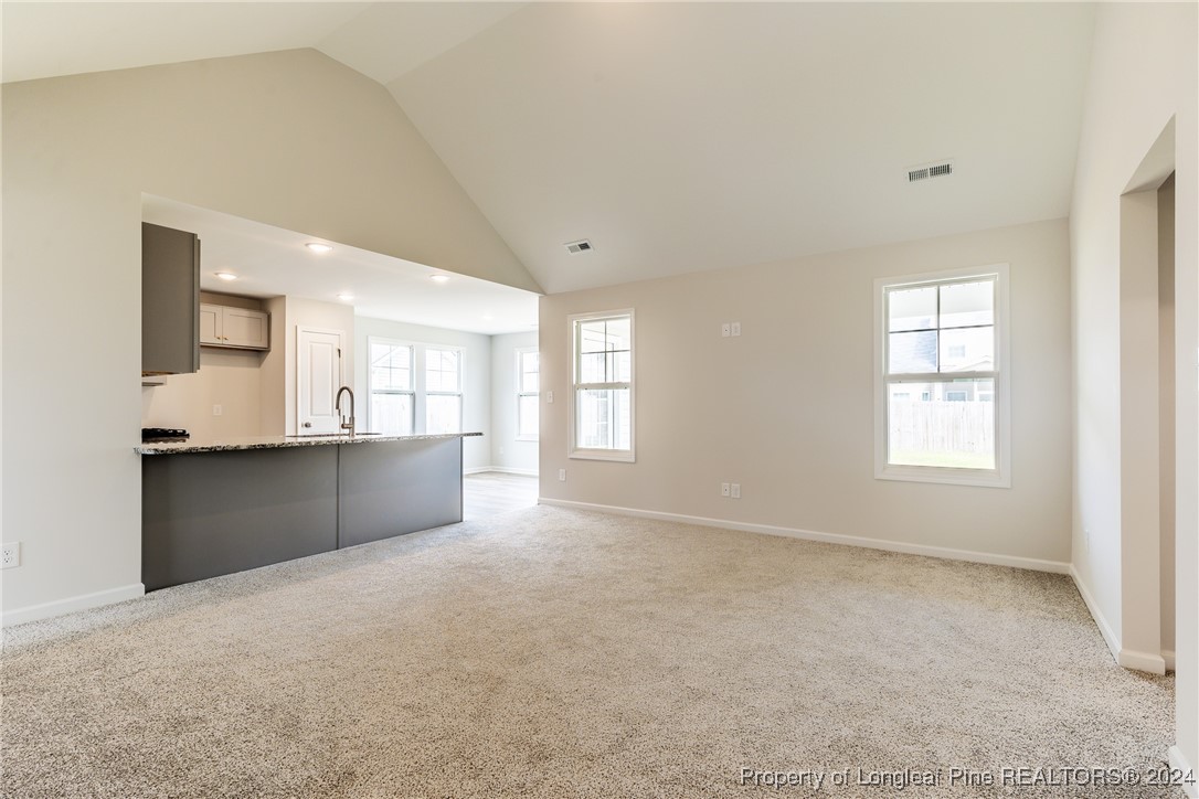 4005 Racking Horse (lot 28) Road Hope Mills, NC 28348 - Photo 8 of 29 Gallery Image 8