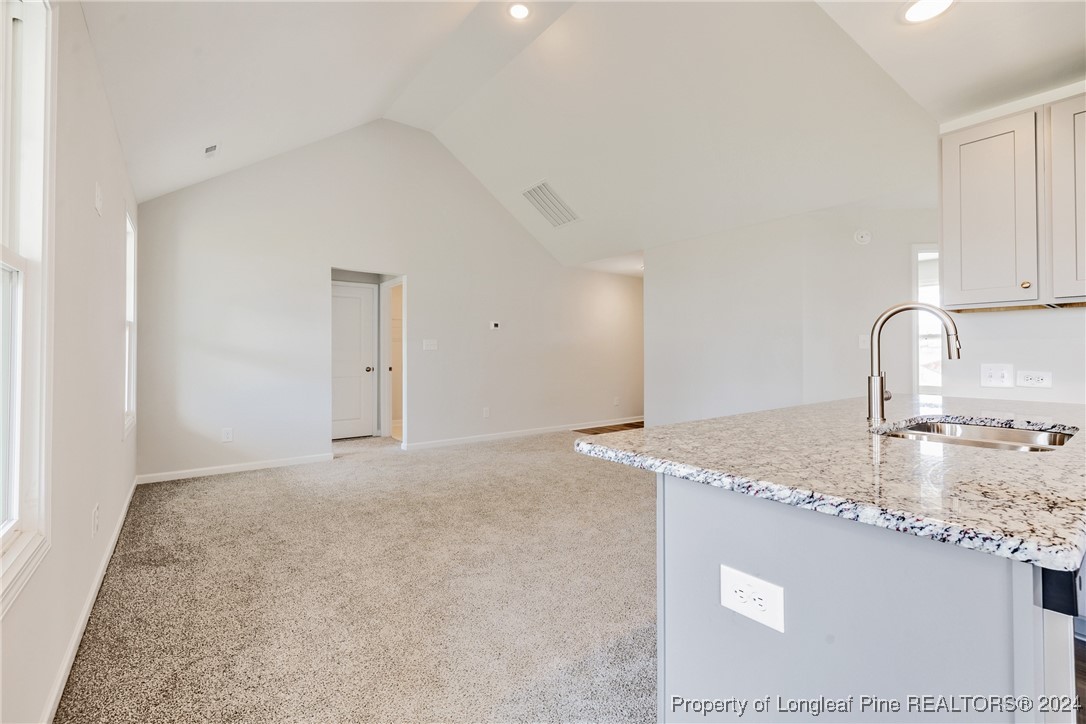4005 Racking Horse (lot 28) Road Hope Mills, NC 28348 - Photo 10 of 29 Gallery Image 10
