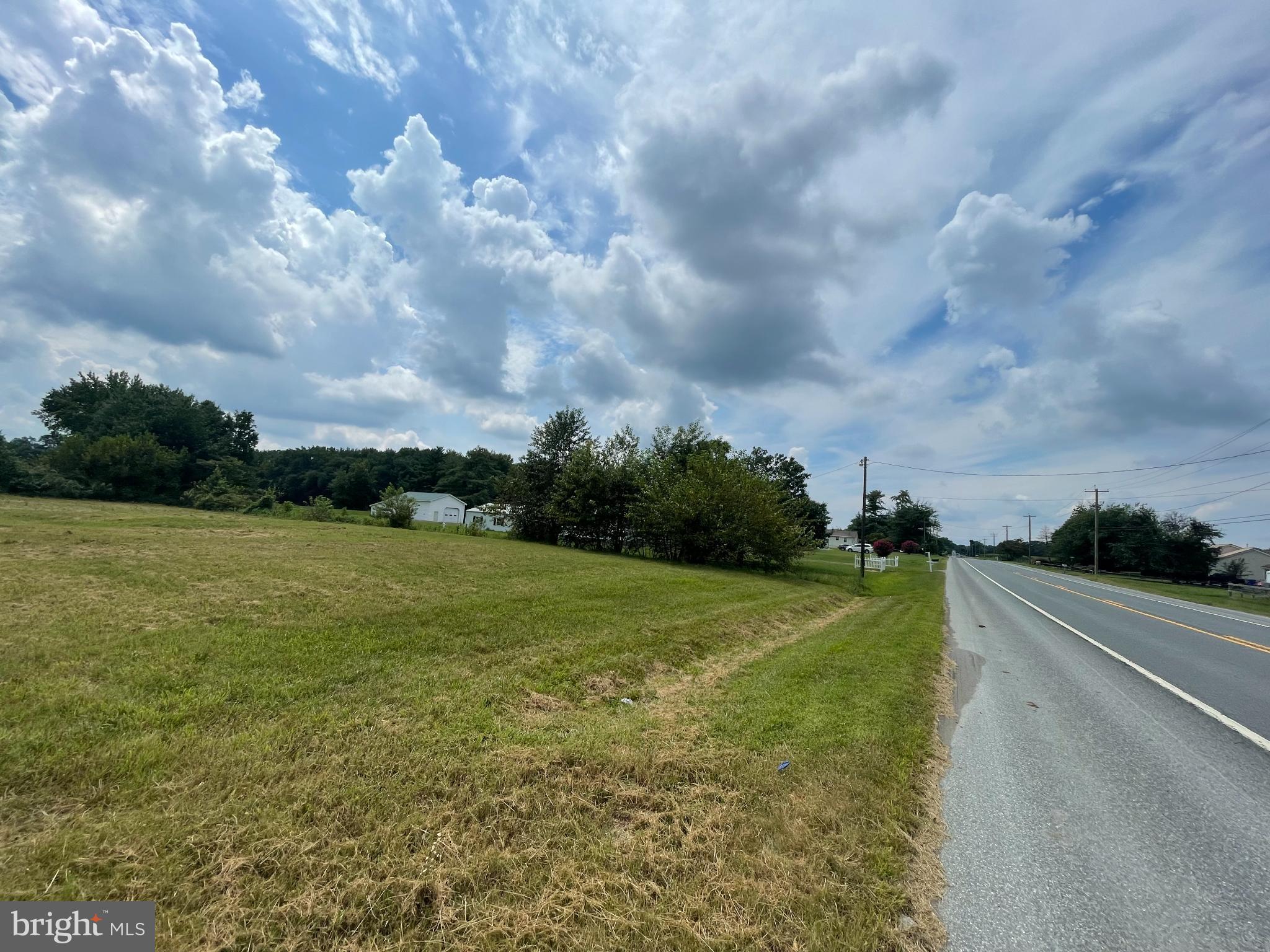 2736 Hartly Road, Unit 2736 Hartly, DE 19953 - Photo 2 of 6 a view of a big yard with plants and large trees