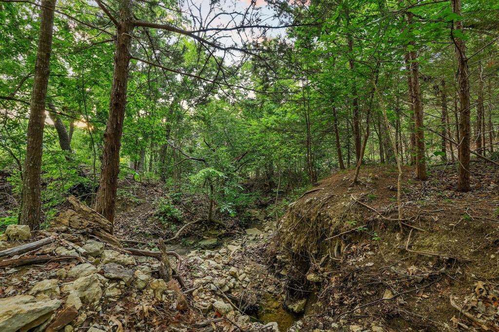 437 Neva Lane Denison, TX 75020 - Photo 21 of 40 a view of a forest with trees