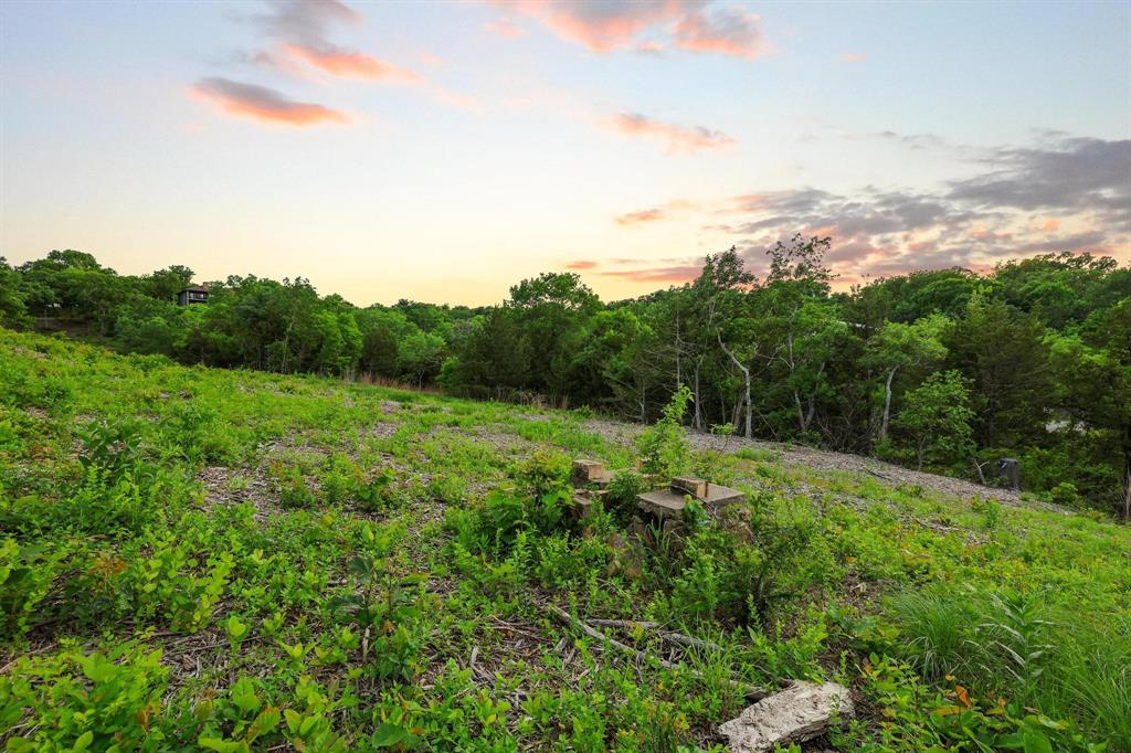 437 Neva Lane Denison, TX 75020 - Photo 23 of 40 a view of a lush green space with sea