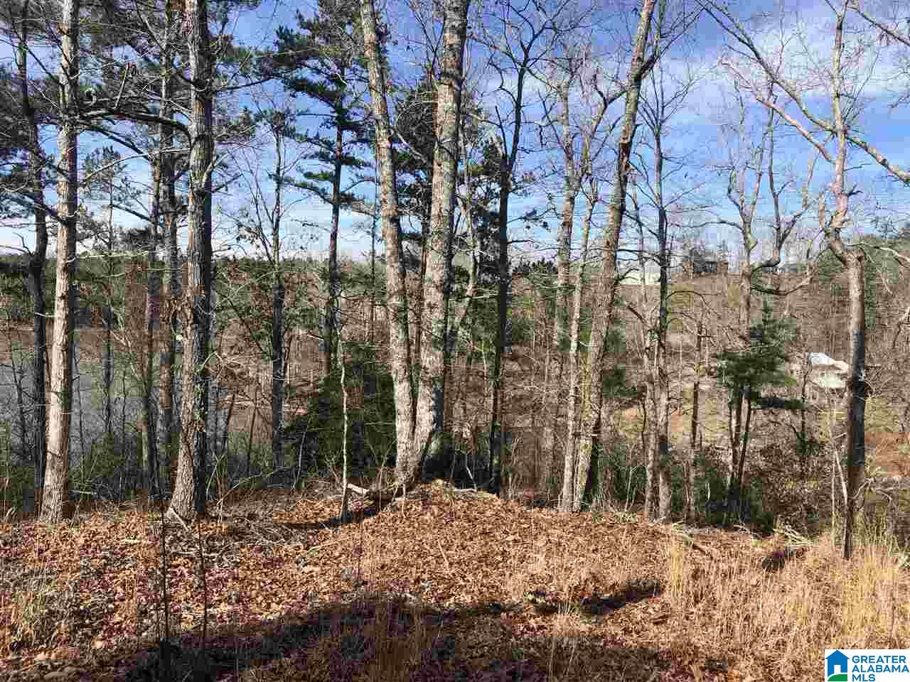 Lot 4 Point View, Unit LOT 4 Wedowee, AL 36278 - Photo 7 of 8