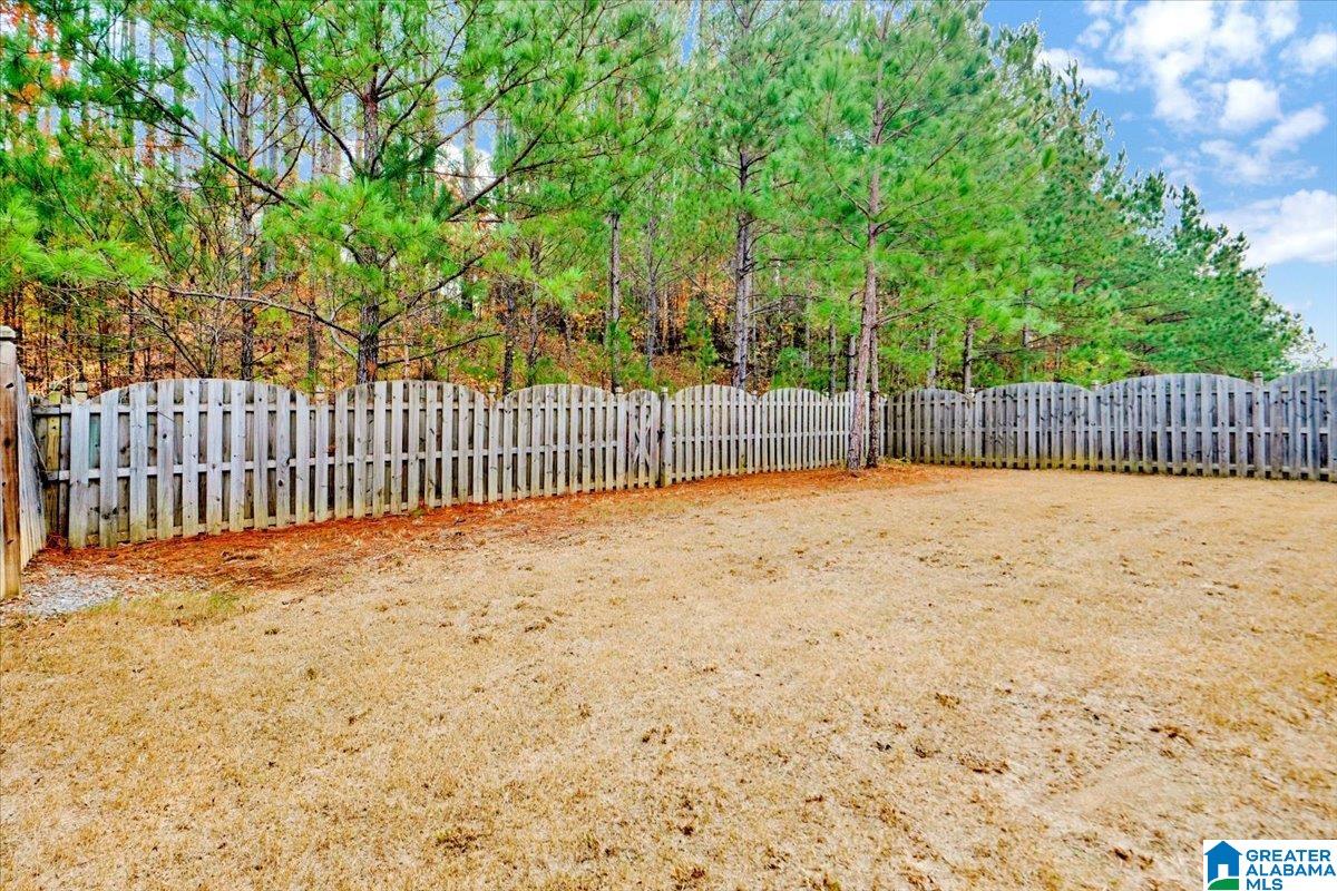 1052 Springfield Drive Chelsea, AL 35043 - Photo 17 of 18