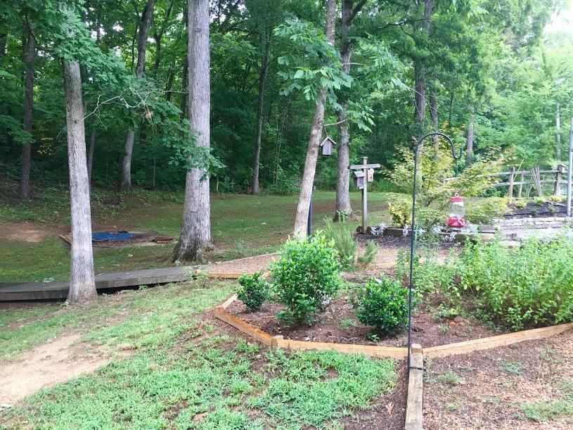 479 Van Davis Road Georgetown, TN 37336 - Photo 23 of 45 46