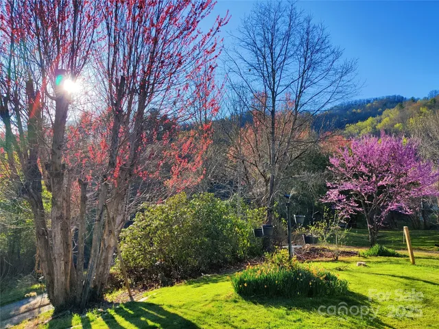 a view of a house with a yard and a large tree