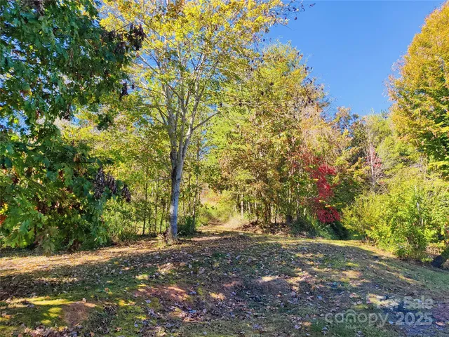 a view of outdoor space and trees