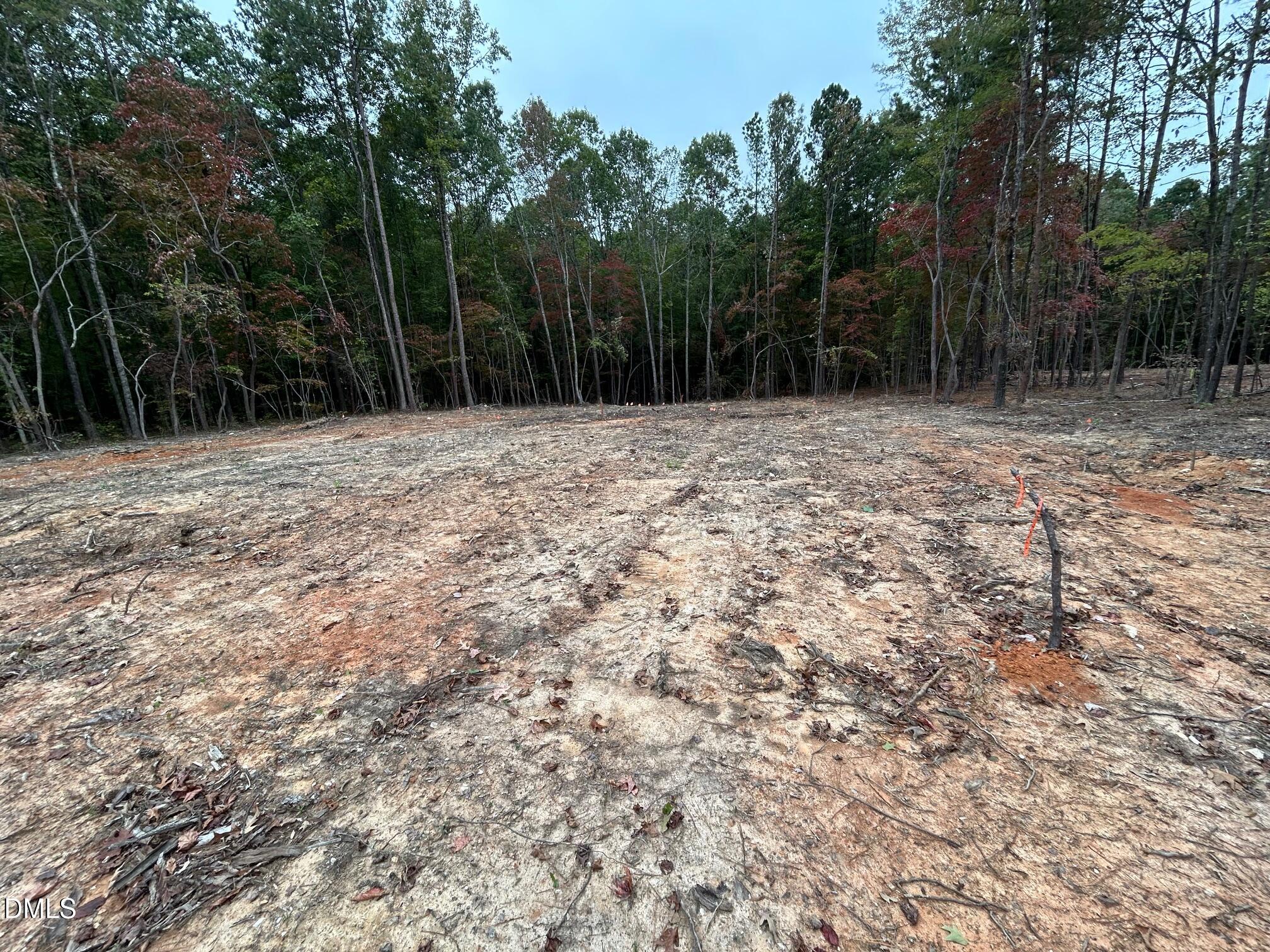 2077 Satterwhite Road Oxford, NC 27565 - Photo 4 of 8 a view of backyard with green space
